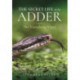 The Secret Life of the Adder: The Vanishing Viper
