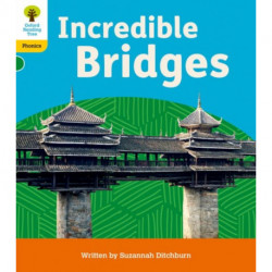 Oxford Reading Tree: Floppy's Phonics Decoding Practice: Oxford Level 5: Incredible Bridges