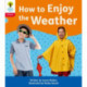 Oxford Reading Tree: Floppy's Phonics Decoding Practice: Oxford Level 4: How to Enjoy the Weather