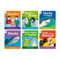 Oxford Reading Tree: Floppy's Phonics Decoding Practice: Oxford Level 3: Mixed Pack of 6