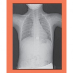 Jill Magid – Tender