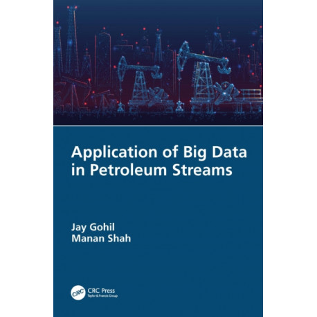 Application of Big Data in Petroleum Streams