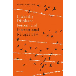 Internally Displaced Persons and International Refugee Law