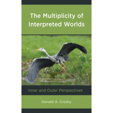 The Multiplicity of Interpreted Worlds: Inner and Outer Perspectives