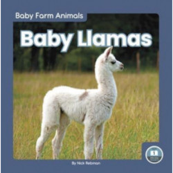 Baby Llamas
