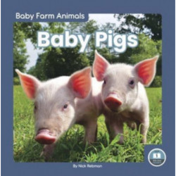 Baby Pigs