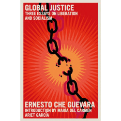 Global Justice: Three Essays on Liberation and Socialism