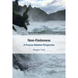Non-Finiteness: A Process-Relation Perspective