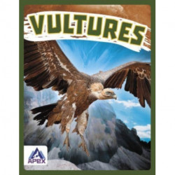 Vultures