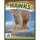Hawks