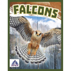 Falcons