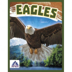 Eagles