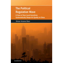 The Political Regulation Wave: A Case of How Local Incentives Systematically Shape Air Quality in China