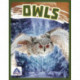 Owls
