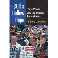 Still a Hollow Hope: State Power and the Second Amendment