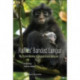 Raffles' Banded Langur: The Elusive Monkey Of Singapore And Malaysia