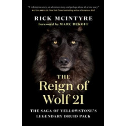The Reign of Wolf 21: The Saga of Yellowstone's Legendary Druid Pack