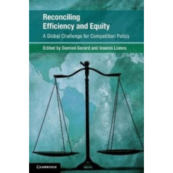 Reconciling Efficiency and Equity: A Global Challenge for Competition Policy