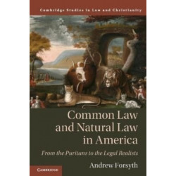 Common Law and Natural Law in America: From the Puritans to the Legal Realists