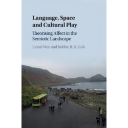 Language, Space and Cultural Play: Theorising Affect in the Semiotic Landscape