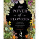 The Power of Flowers: Turning Pieces of Mother Nature into Transformative Works of Art
