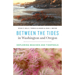 Between the Tides in Washington and Oregon: Exploring Beaches and Tidepools