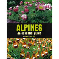 Alpines: An essential guide
