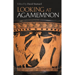 Looking at Agamemnon