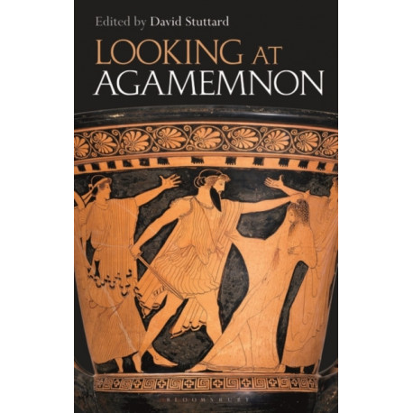 Looking at Agamemnon