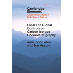 Local and Global Controls on Carbon Isotope Chemostratigraphy