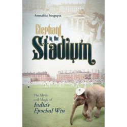 Elephant in the Stadium: The Myth and Magic of India's Epochal Win