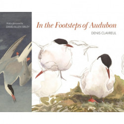 In the Footsteps of Audubon