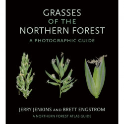 Grasses of the Northern Forest: A Photographic Guide