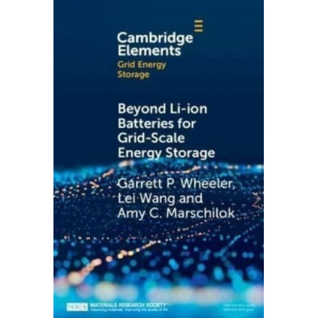 Beyond Li-ion Batteries for Grid-Scale Energy Storage