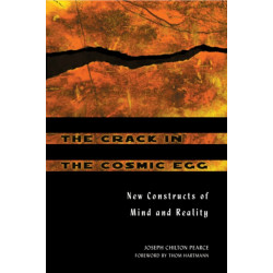The Crack in the Cosmic Egg: New Constructs of Mind and Reality