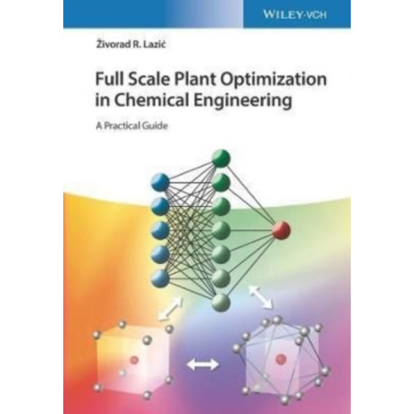 Full Scale Plant Optimization in Chemical Engineering: A Practical Guide