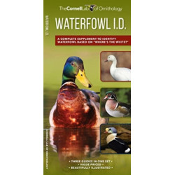 Waterfowl Id Set: A Complete Supplement to Indentify Waterfowl Based on Where's the White?