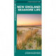 New England Seashore Life: A Folding Guide to Familiar Animals & Plants