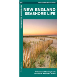 New England Seashore Life: A Folding Guide to Familiar Animals & Plants