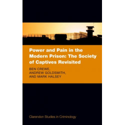 Power and Pain in the Modern Prison: The Society of Captives Revisited
