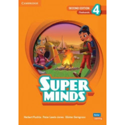 Super Minds Level 4 Flashcards British English