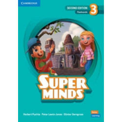 Super Minds Level 3 Flashcards British English