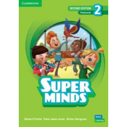 Super Minds Level 2 Flashcards British English