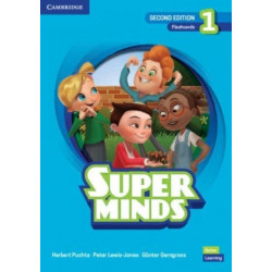 Super Minds Level 1 Flashcards British English