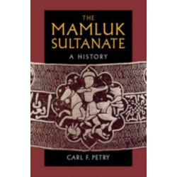 The Mamluk Sultanate: A History