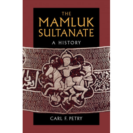 The Mamluk Sultanate: A History