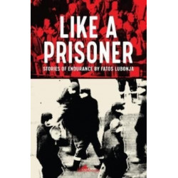 Like a Prisoner: Stories of Endurance