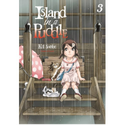 Island in a Puddle 3