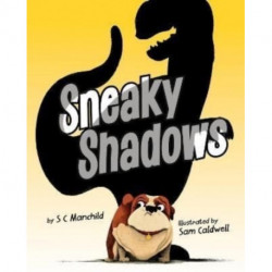 Sneaky Shadows