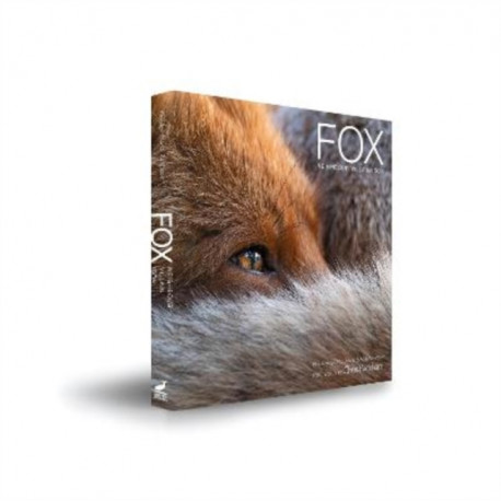 Fox Fox: Neighbour Villain Icon